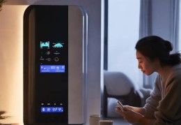 戴纳斯帝Dynasty壁挂炉维修24小时服务交流：乐天壁挂炉精准控温技巧，告别寒冷冬季