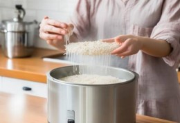 德努希冰箱客服热线支持分析♛冰箱冷藏层可以放米吗？使用指南揭秘
