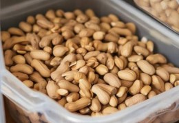 博伦博格冰箱全国维修服务网点讲解『花生保鲜小窍门：冰箱冷藏新玩法』